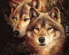 chien loup